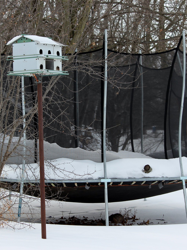 How Do Trampolines Handle Different Weather?