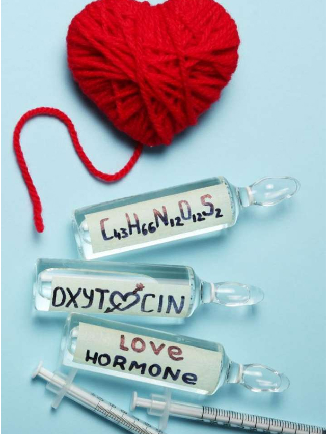 How Can Oxytocin Affect Your Emotions Positively?